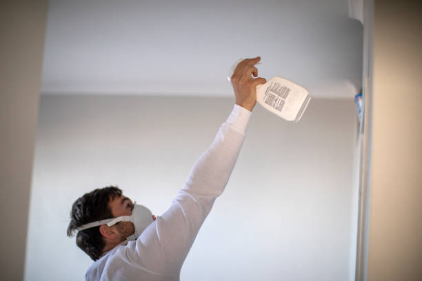 Best Health and Safety Mold Remediation in Shorewood, IL